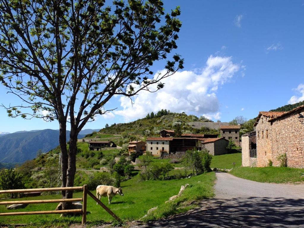 Cal Sansa Villa Cava Eksteriør billede